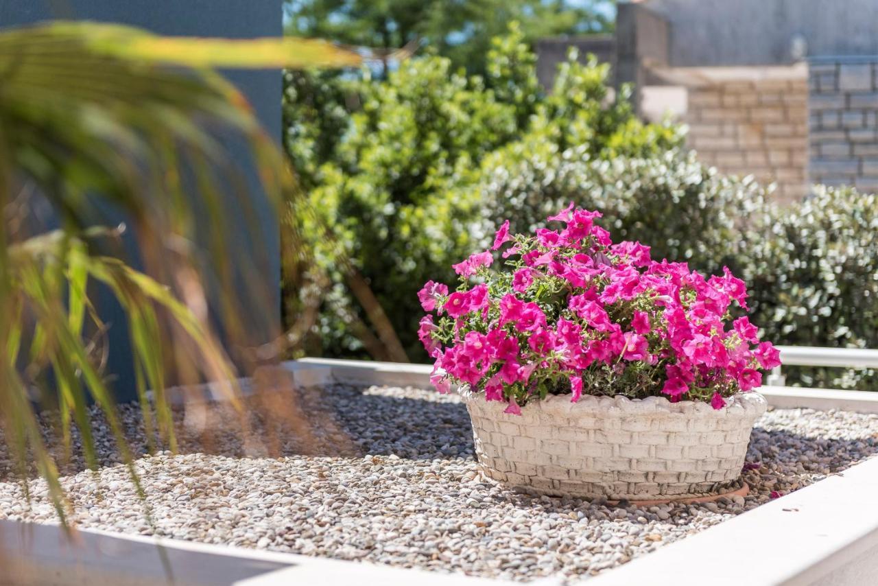 Ferienwohnung Pool Terrace Sea View Sarkic Novalja Exterior foto